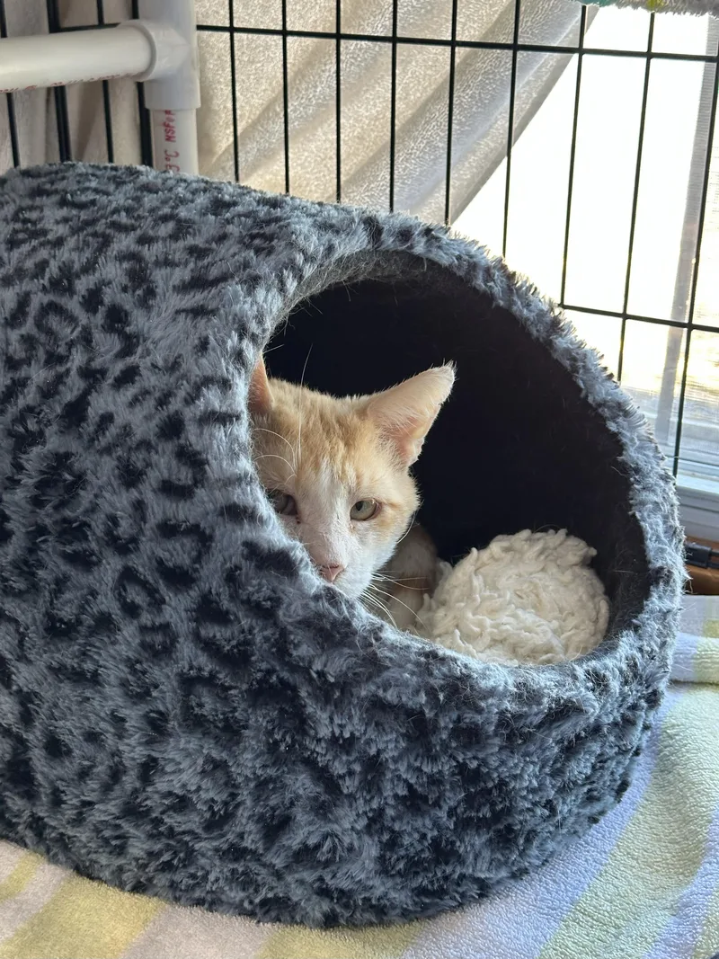 Mcdreamy thumbnail 5