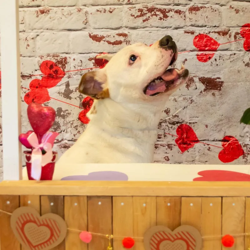 Hercules thumbnail 4