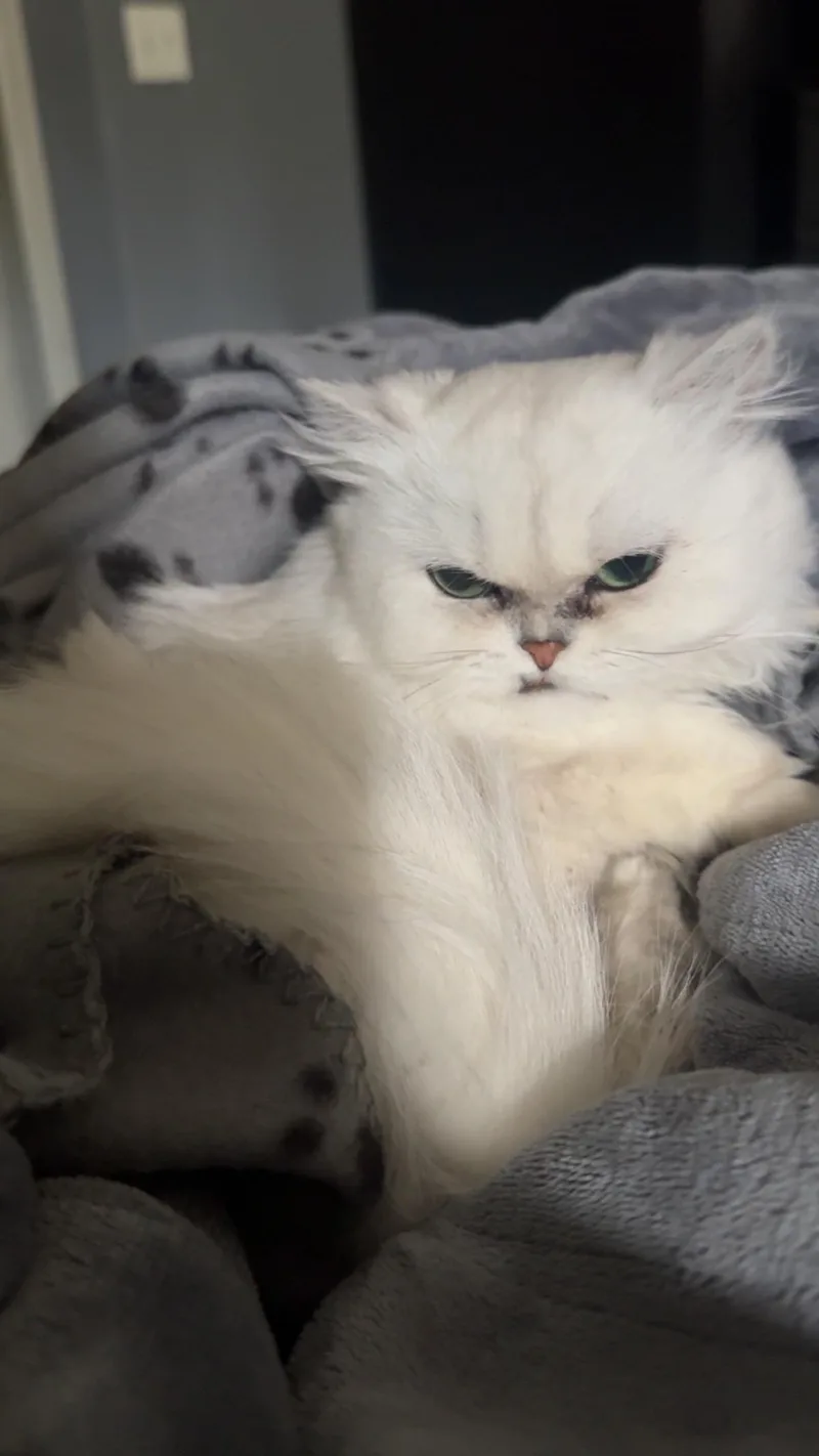 Snuffles thumbnail 2