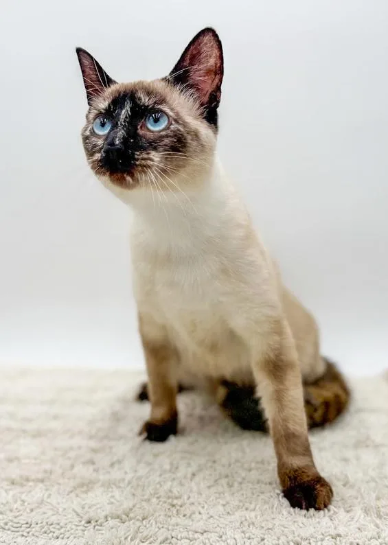 Kisi Is Stunning And thumbnail 2