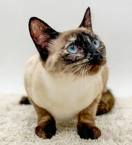 Kisi Is Stunning And thumbnail 4