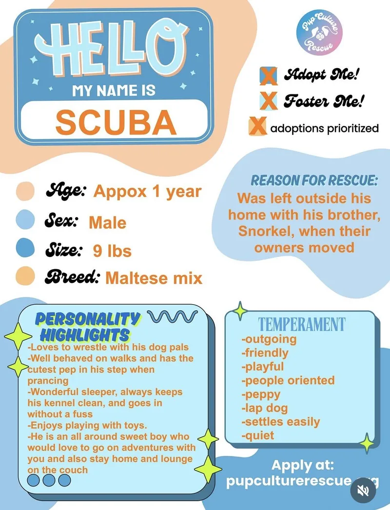 Scuba
