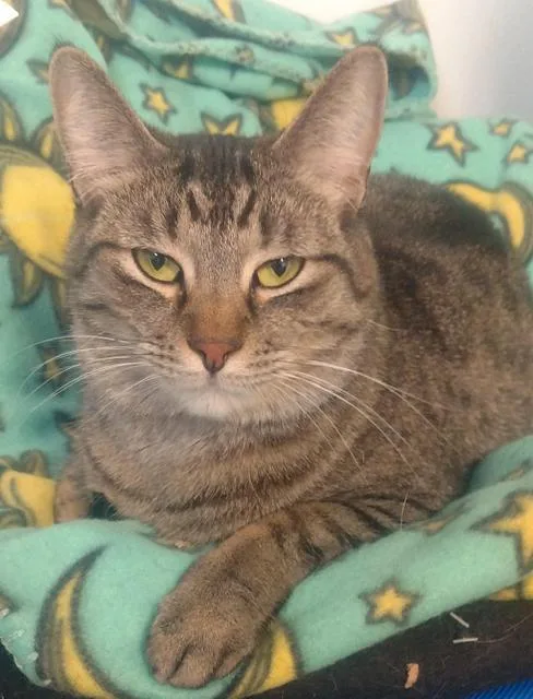 Wednesday thumbnail 2