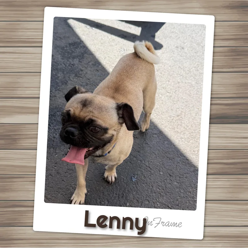 Lenny thumbnail 2