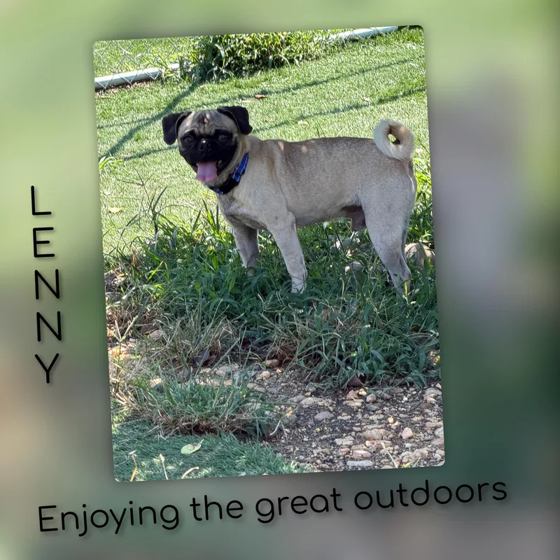 Lenny thumbnail 3
