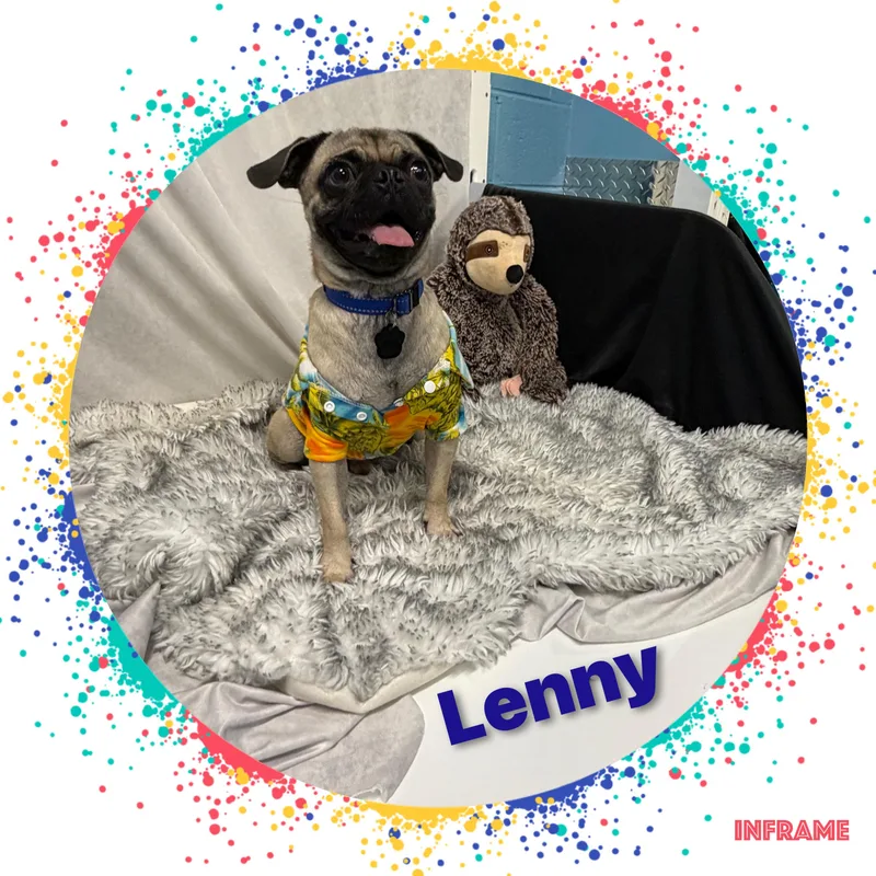 Lenny thumbnail 5