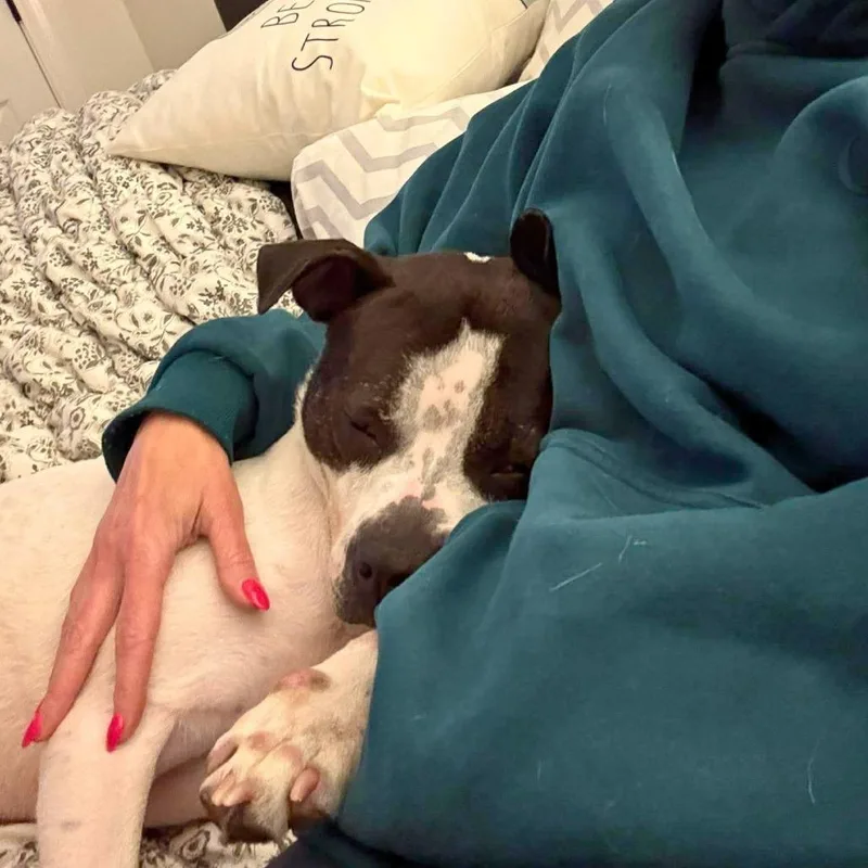 Kramer thumbnail 4