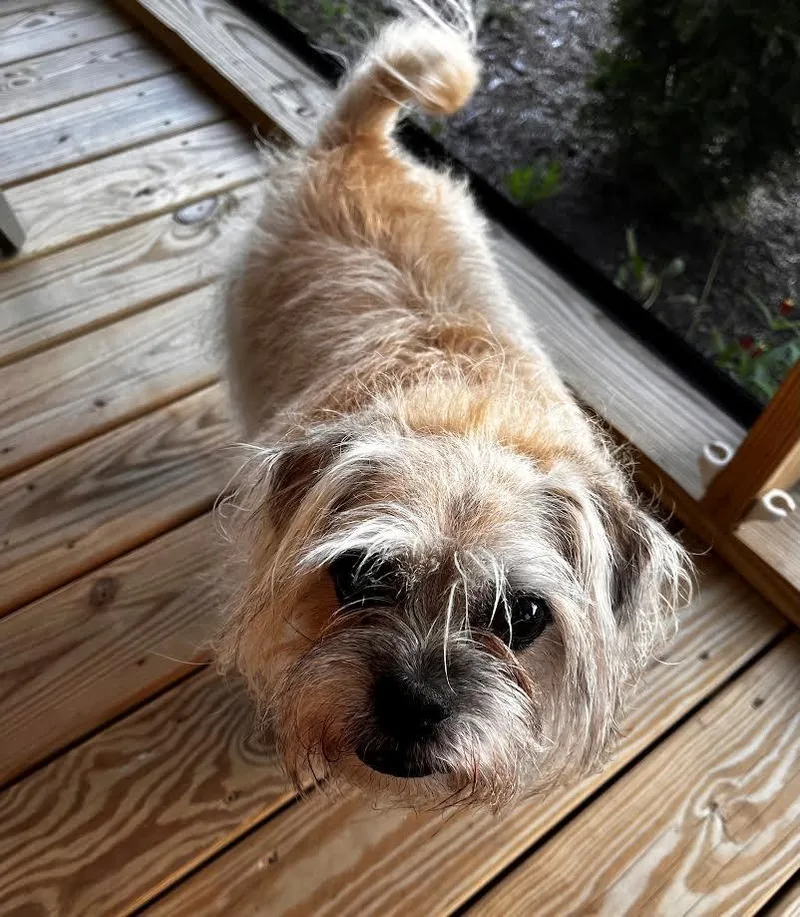 Zeke