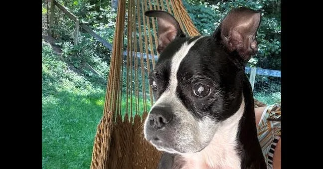 Bindy Bluenc thumbnail 2