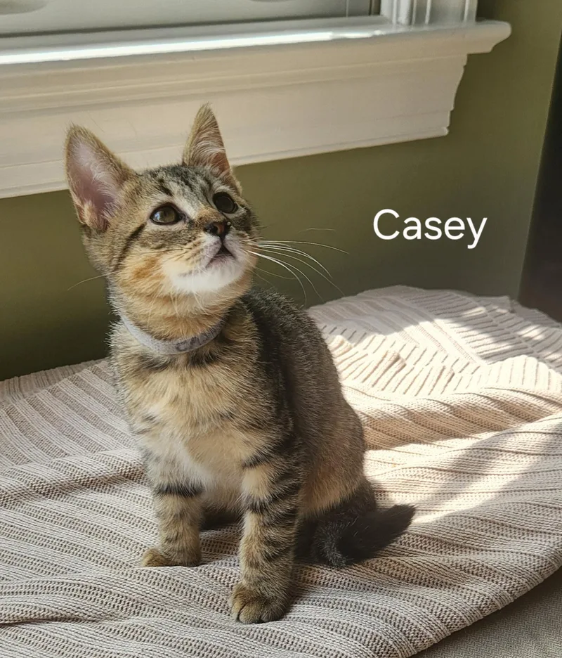 Fathers Day Casey