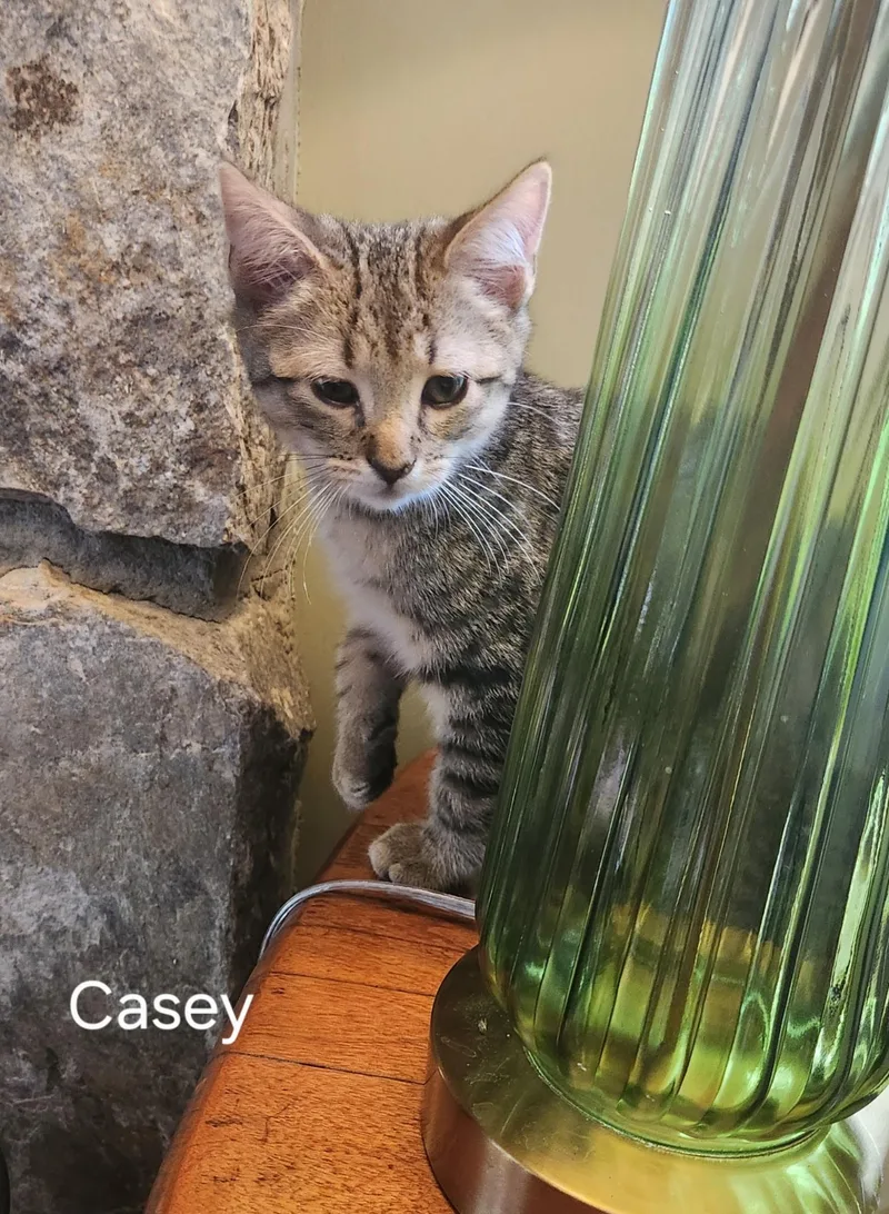 Fathers Day Casey thumbnail 2