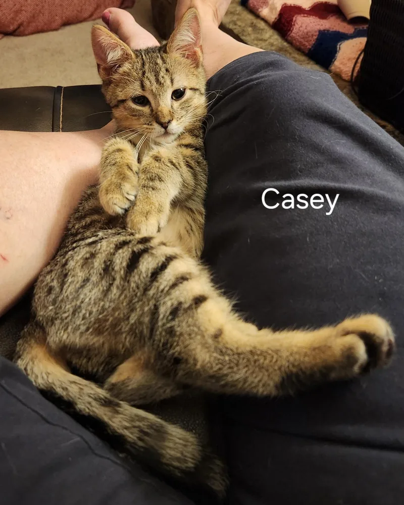 Fathers Day Casey thumbnail 4