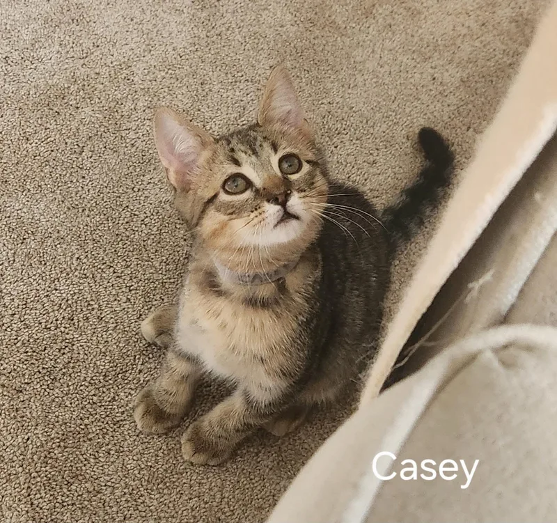 Fathers Day Casey thumbnail 5