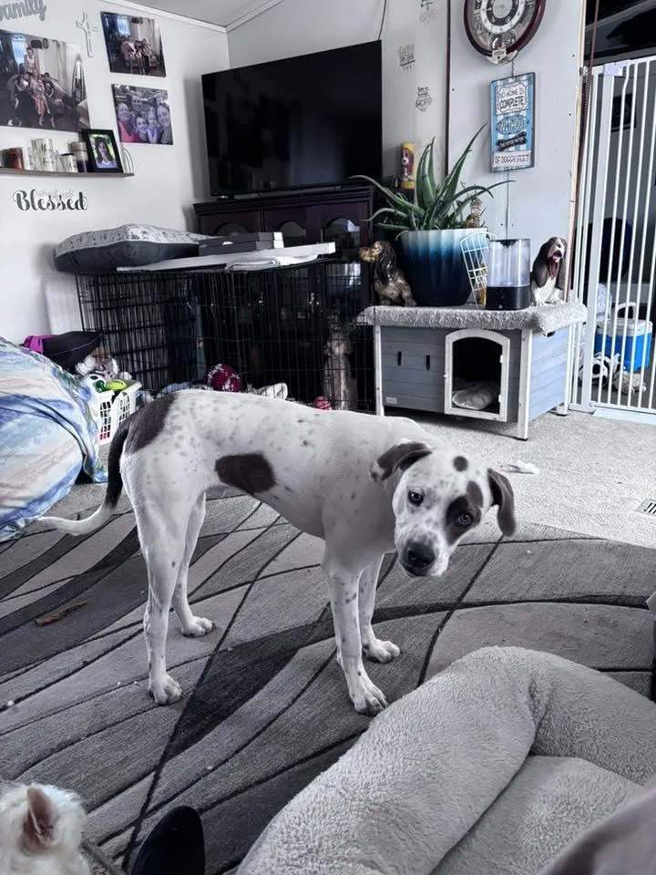 O'malley thumbnail 3