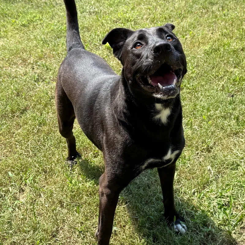 Caroline thumbnail 2