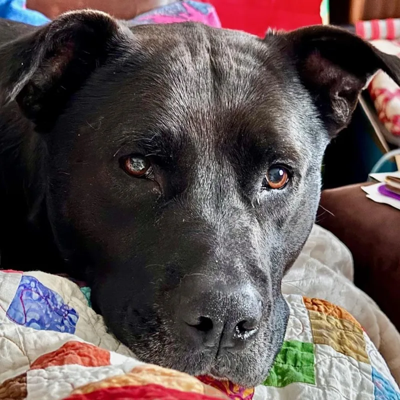 Caroline thumbnail 3