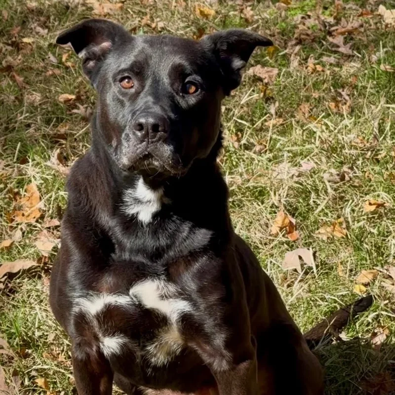 Caroline thumbnail 4