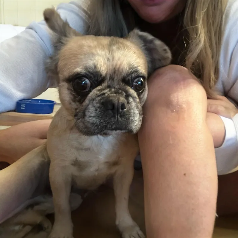 Bianca thumbnail 2