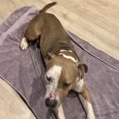 Finnegan thumbnail 4