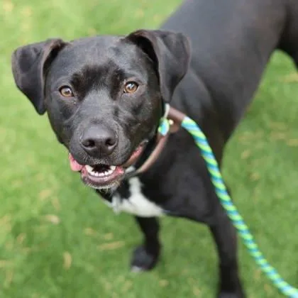 Midnight thumbnail 2