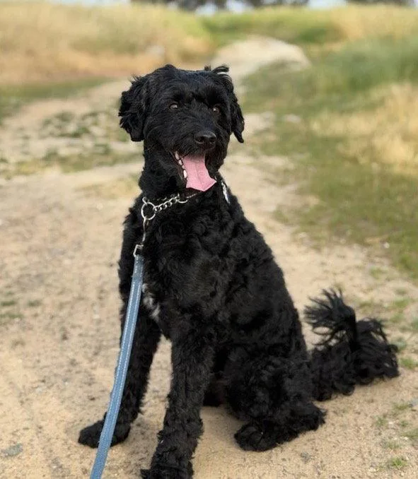 Filibuster thumbnail 2