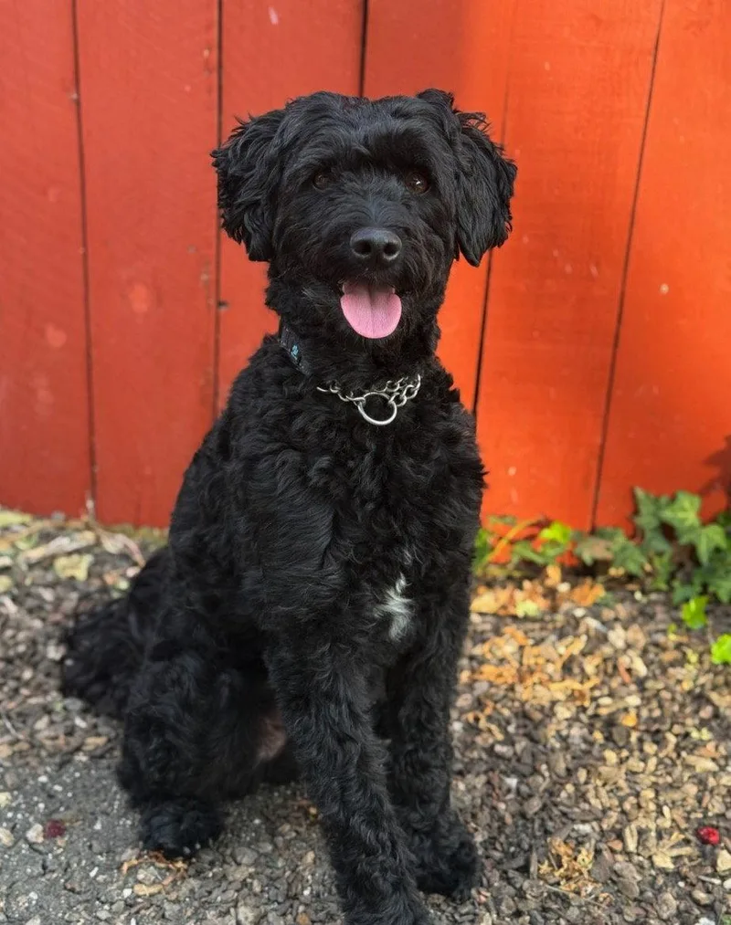 Filibuster thumbnail 3