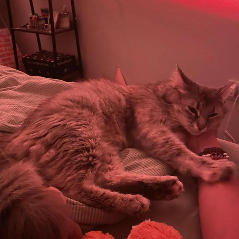 Billie thumbnail 4