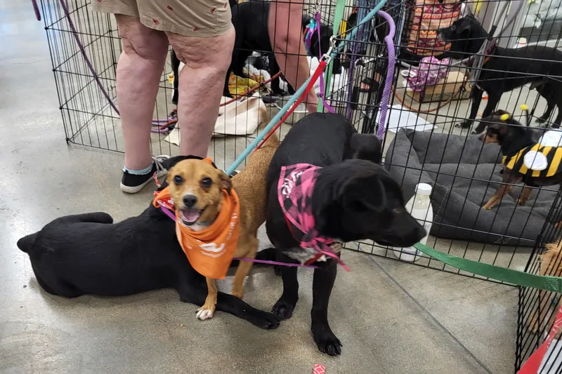 Cool Rocky!! thumbnail 2