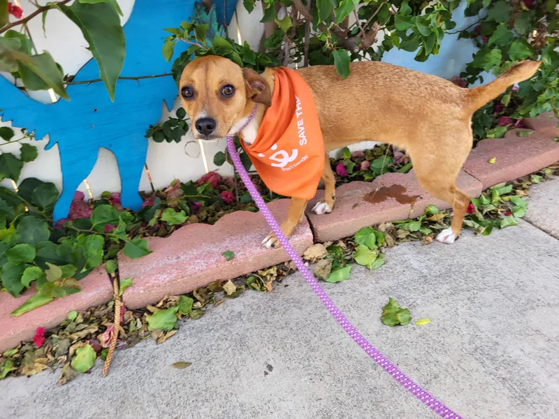 Cool Rocky!! thumbnail 3