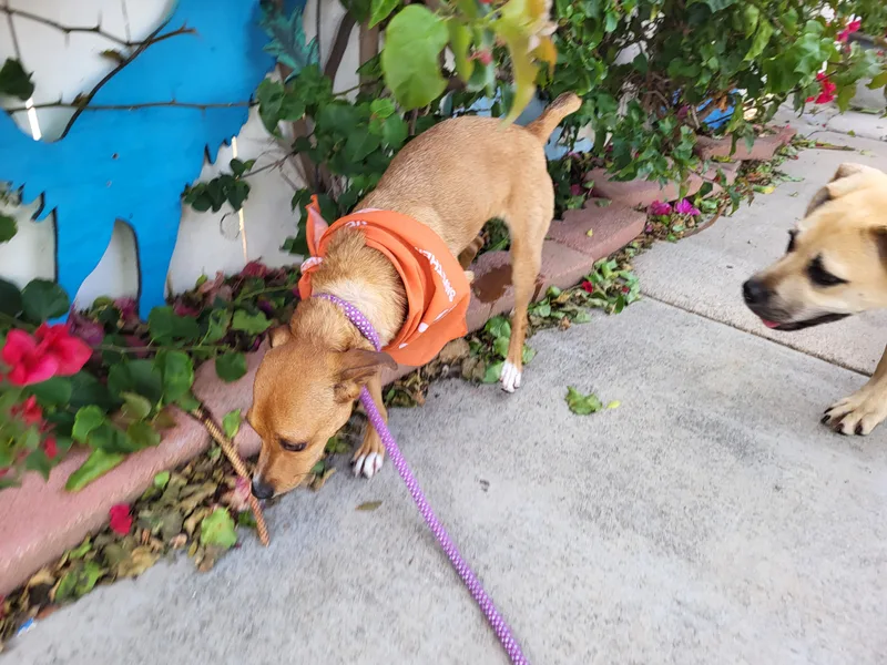 Cool Rocky!! thumbnail 4