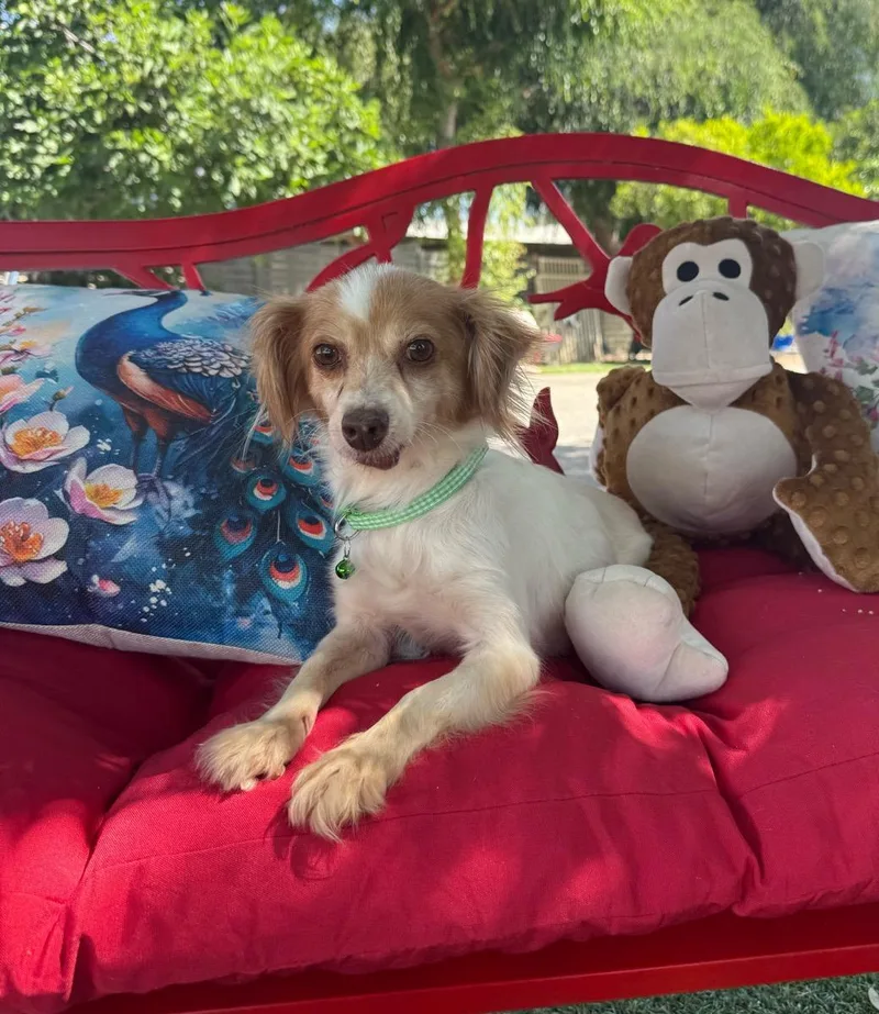 Trixie May thumbnail 2