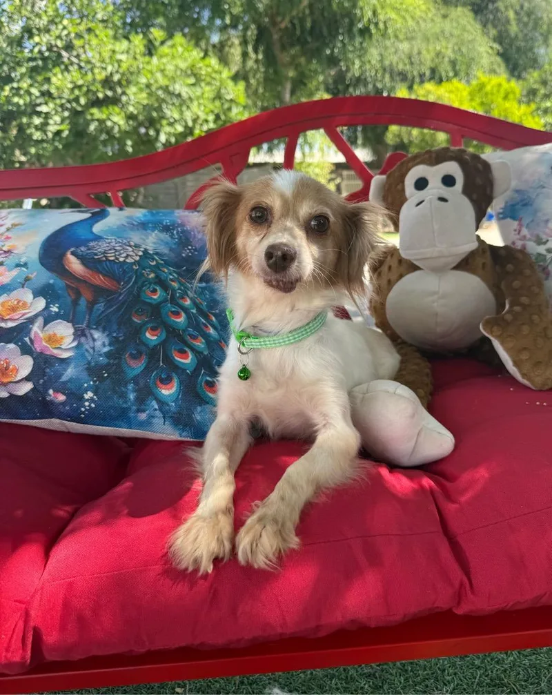 Trixie May thumbnail 3