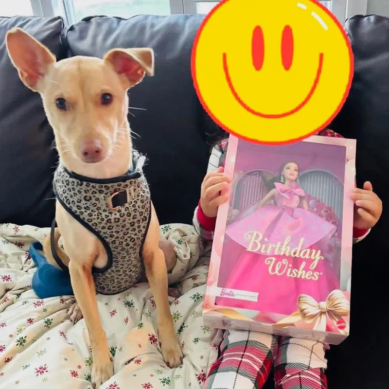 Mindy thumbnail 2