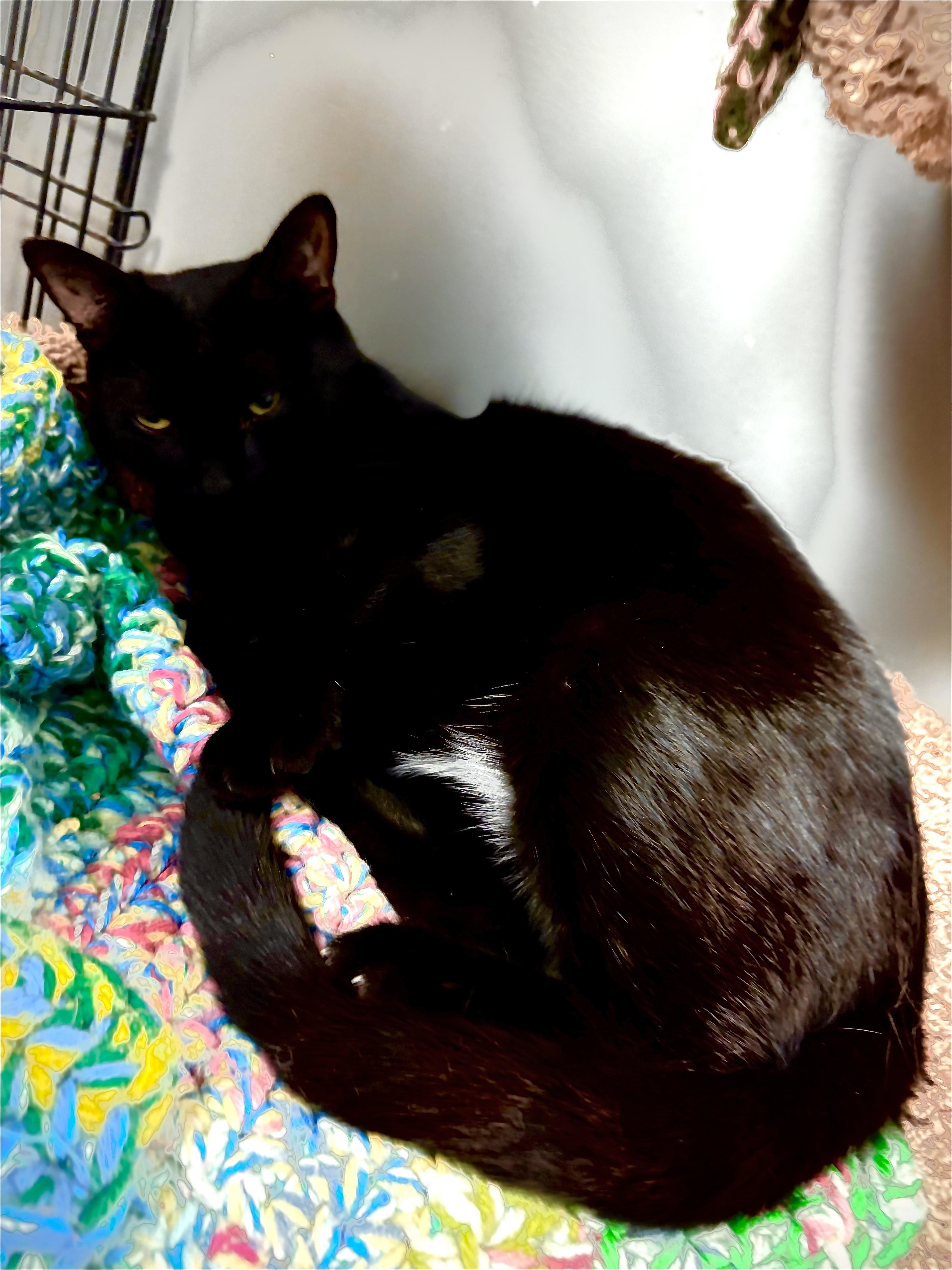 Minnie thumbnail 4