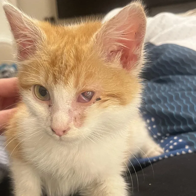 Catrick Swayze thumbnail 2