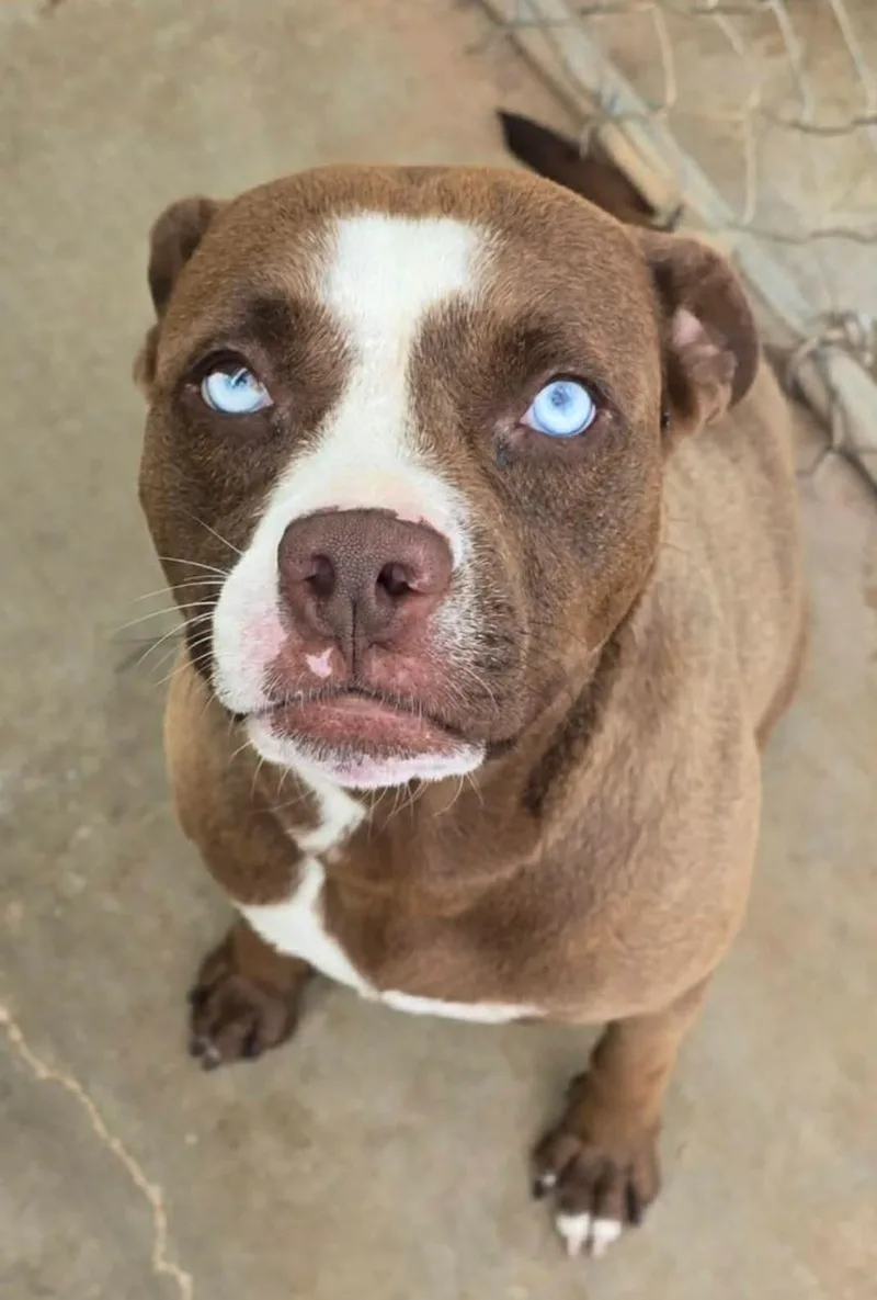Mugsie