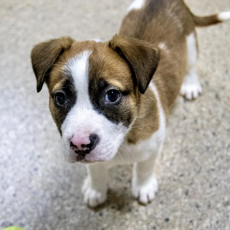 Quinn Hughes thumbnail 2