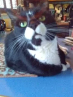 Ralphie  Sponsored! thumbnail 2