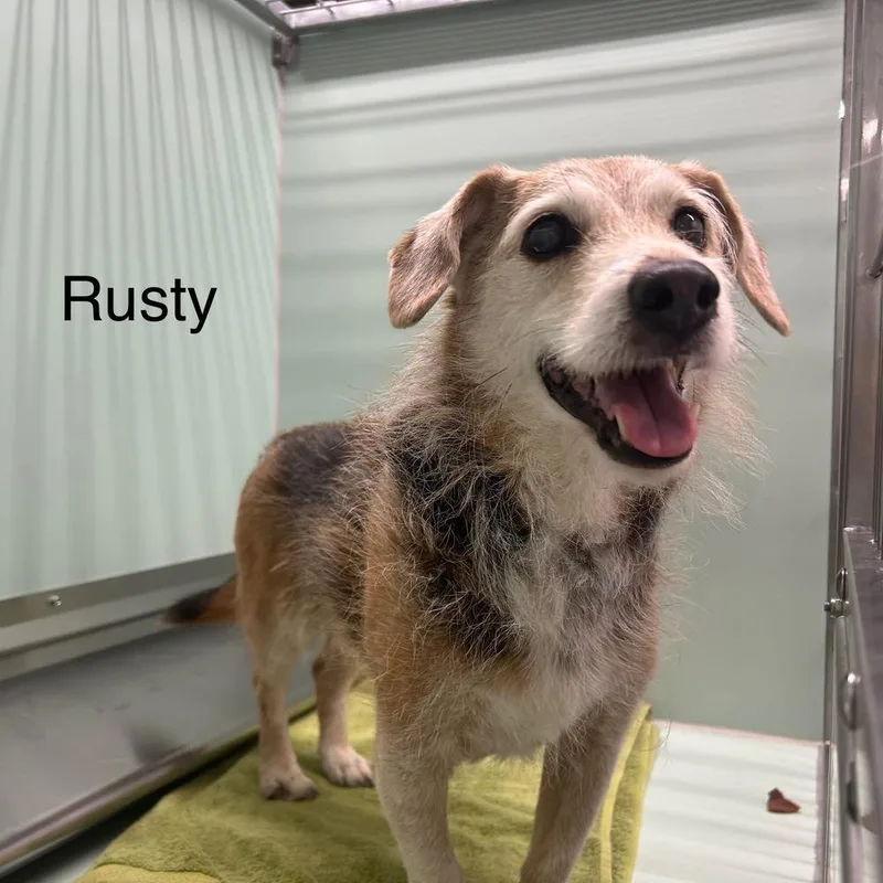 Rusty thumbnail 2