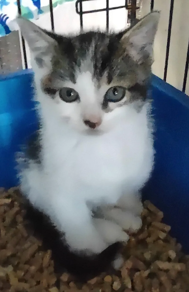 Dane thumbnail 2