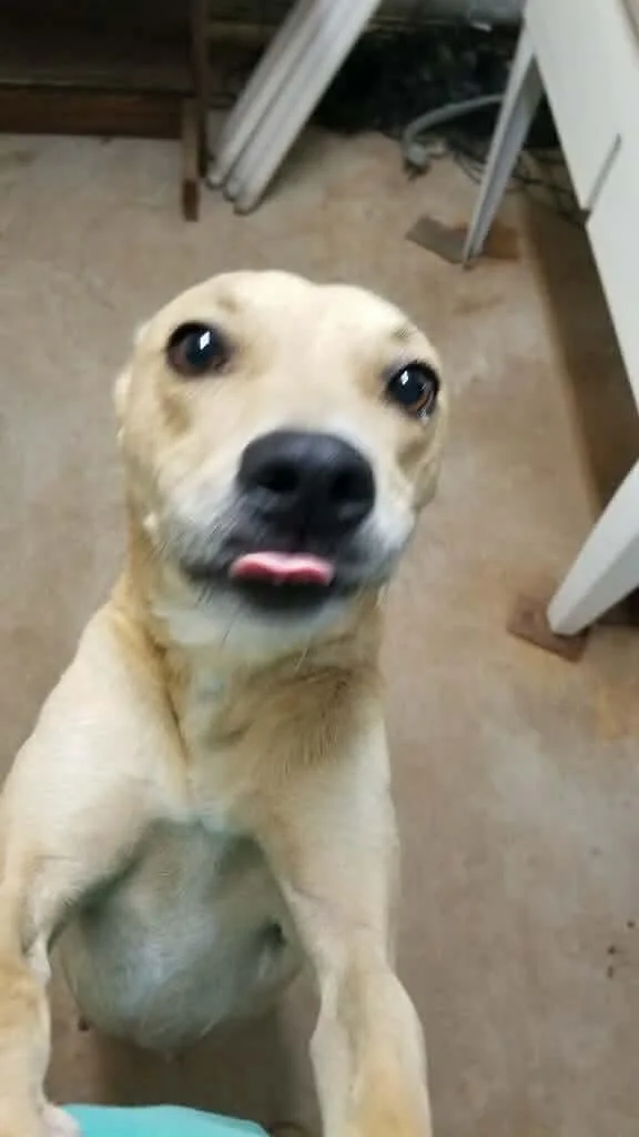 Sophie thumbnail 3