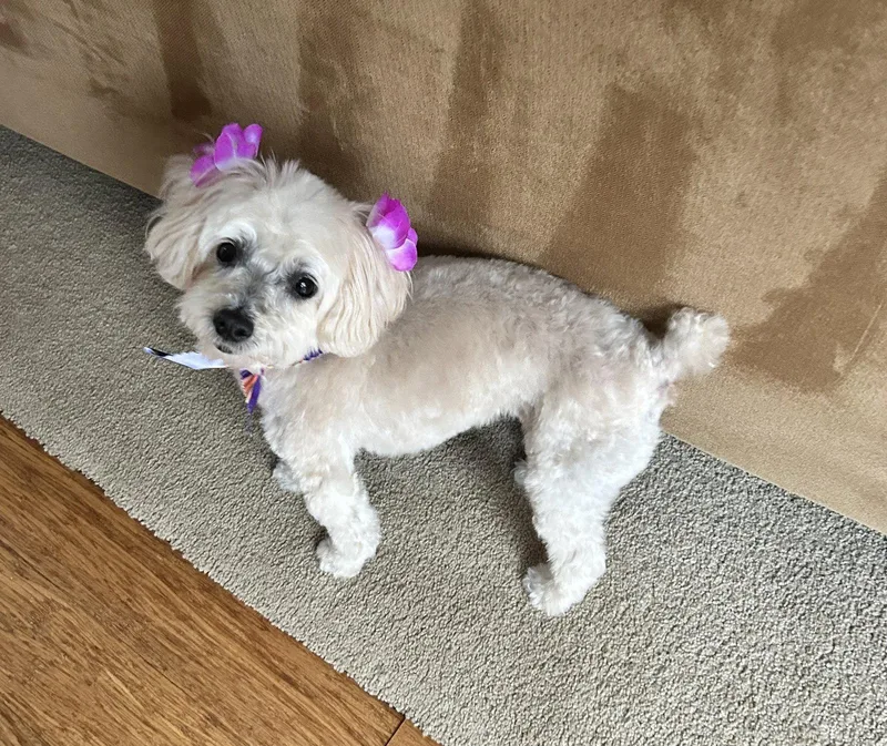 Skyler Faith thumbnail 2