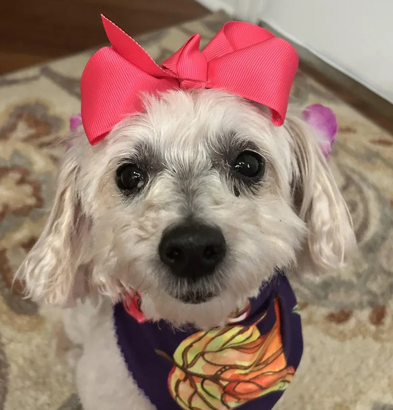 Skyler Faith thumbnail 3