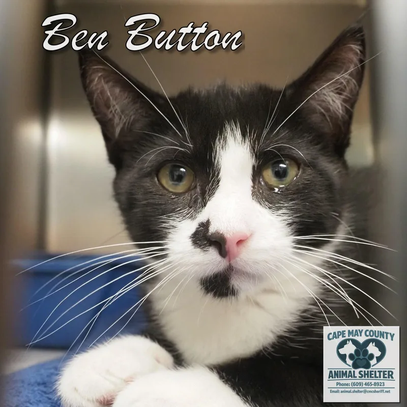 Ben Button thumbnail 2
