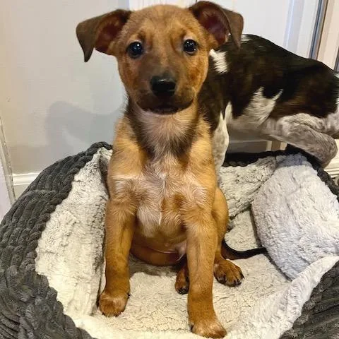 Saturday thumbnail 2