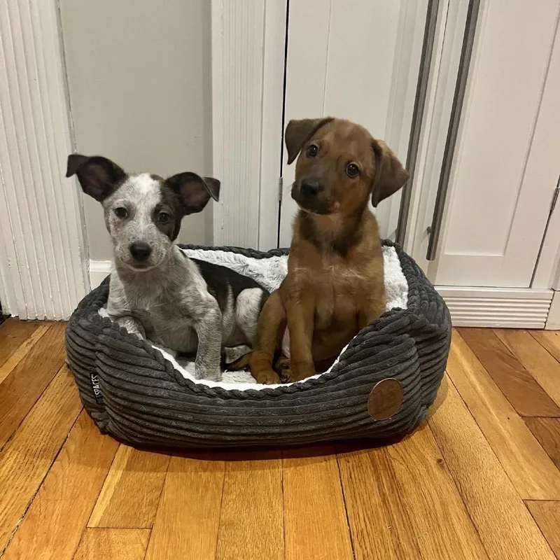 Saturday thumbnail 4