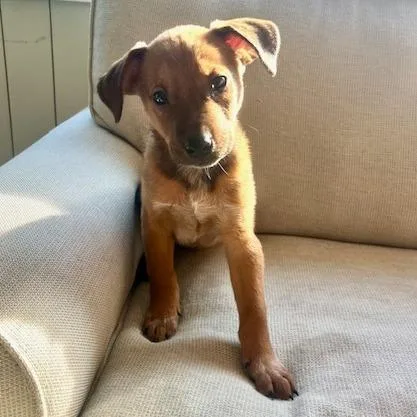 Saturday thumbnail 5