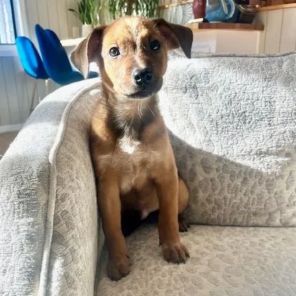 Saturday thumbnail 6