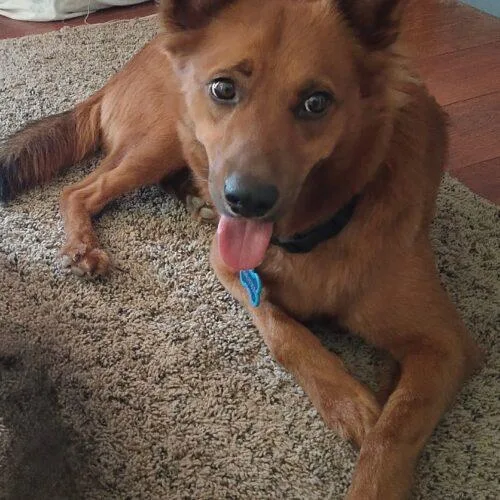 Rusty