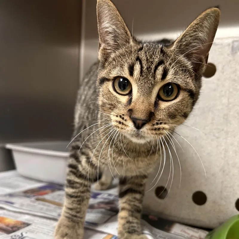 Murray thumbnail 2